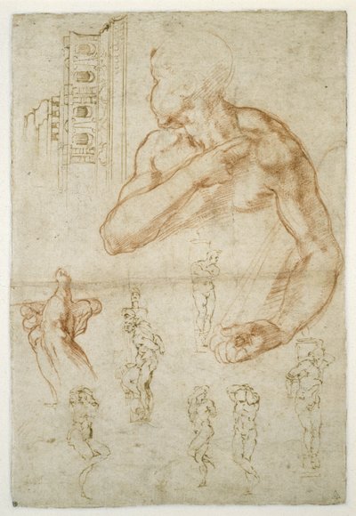 Étude de la figure assistante de la Sibylle Libyenne, vers 1512 - Michelangelo Buonarroti