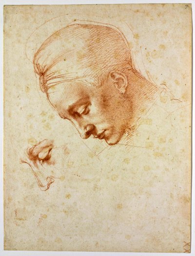 Étude pour la tête de Léda, vers 1530 - Michelangelo Buonarroti