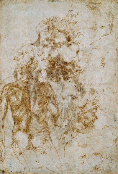 Diverses études de figures - Michelangelo Buonarroti
