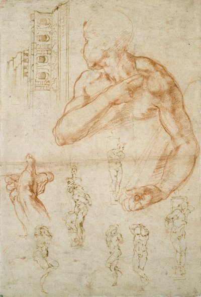 Diverses études pour le plafond de la chapelle Sixtine et le tombeau du pape Jules II, vers 1490-1560 - Michelangelo Buonarroti