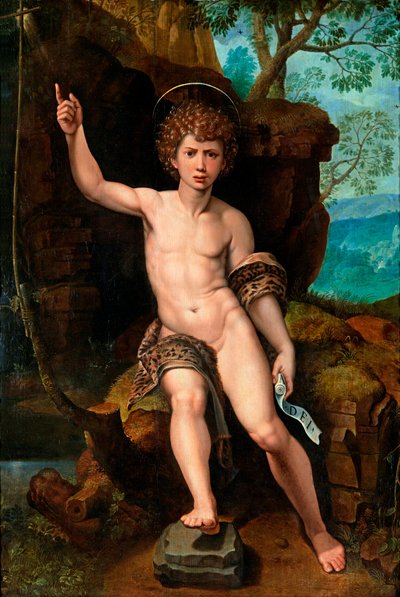 Représentation de saint Jean-Baptiste - Michiel I Coxie or Coxcie