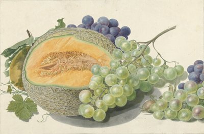 Un melon, des grappes de raisin, une pêche et des noisettes - Michiel Van Huysum