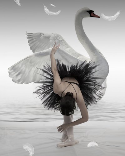 La ballerine du Cygne noir - Mieke