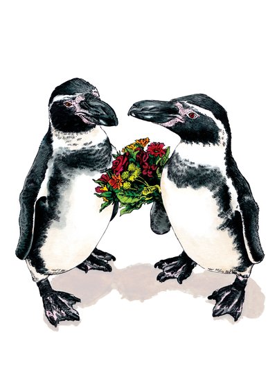 Pingouins d