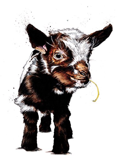 Chevreau sur Blanc, 2020 - Mike Davis