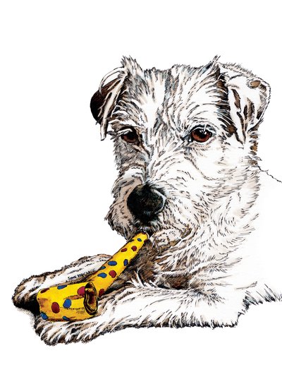 Chien Parson d