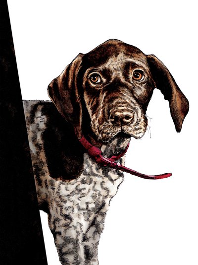 Au Revoir Chiot sur Blanc, 2020 - Mike Davis