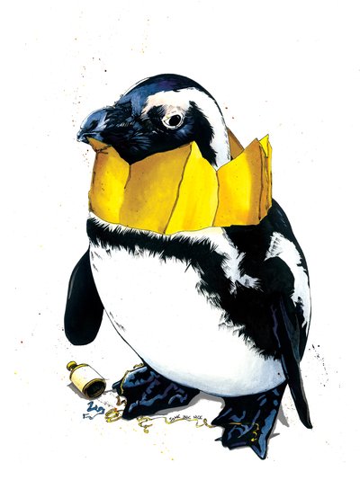 Pingouin de Noël sur blanc, 2020 - Mike Davis