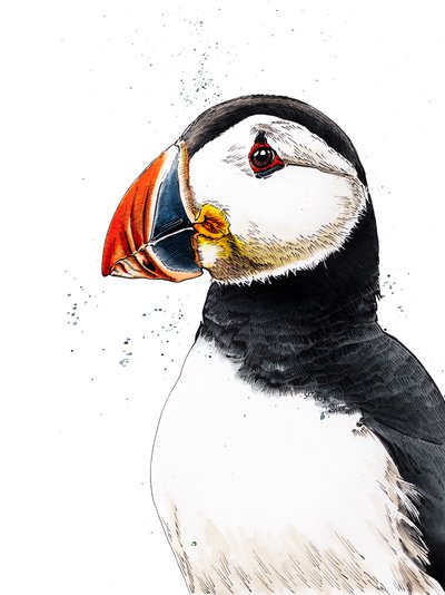 Clive Le Macareux sur Blanc, 2019 - Mike Davis