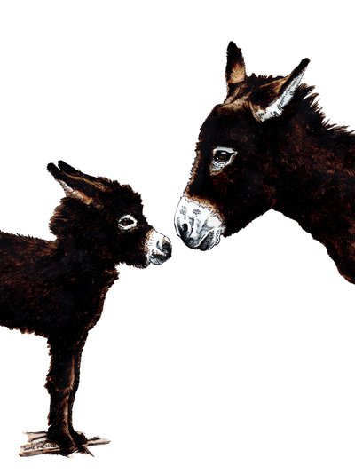 Âne mère et bébé sur blanc, 2020 - Mike Davis