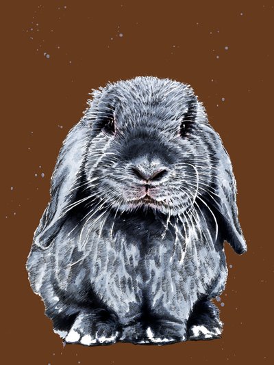 Gris le Lapin sur Orange Brûlé - Mike Davis