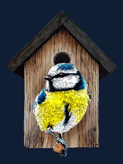 Nouvelle maison mésange bleue sur bleu nuit, 2020 - Mike Davis