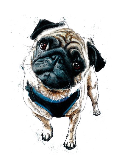 Teddy Le Carlin sur Blanc, 2019 - Mike Davis