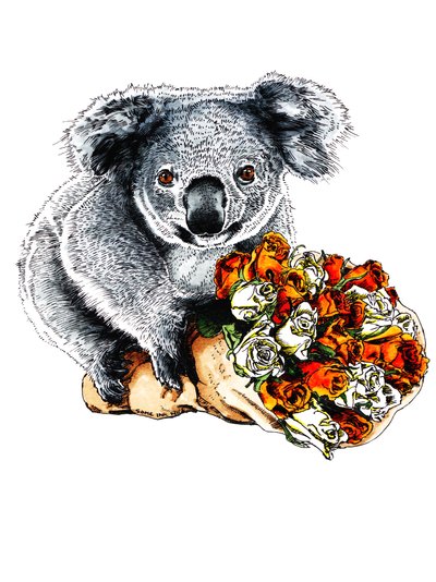 Merci koala sur fond blanc, 2020 - Mike Davis