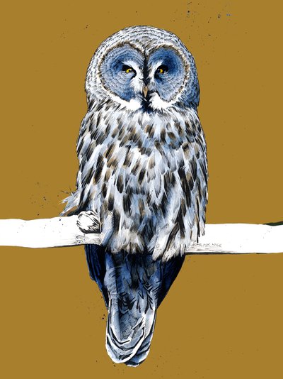 Le Grand Hibou Gris sur Jaune Doré - Mike Davis
