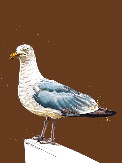 La mouette sur orange brûlé, 2020 - Mike Davis