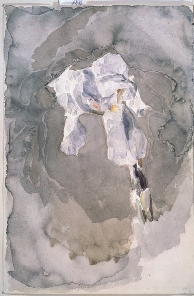 Iris blanc - Mikhail Aleksandrovich Vrubel