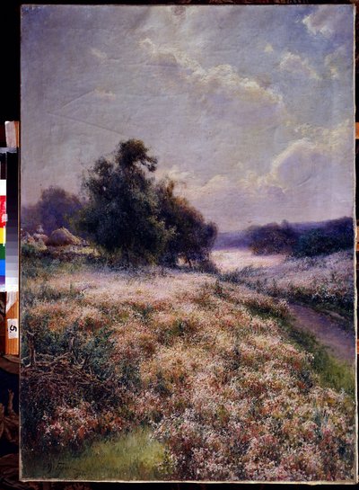Pré fleuri - Mikhail Andreyevich Berkos