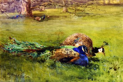 Paons - Mildred Anne Butler