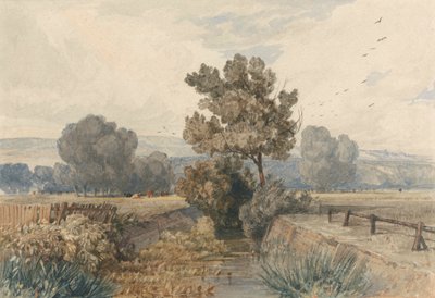 Scène à Elmham, Norfolk - Miles Edmund Cotman