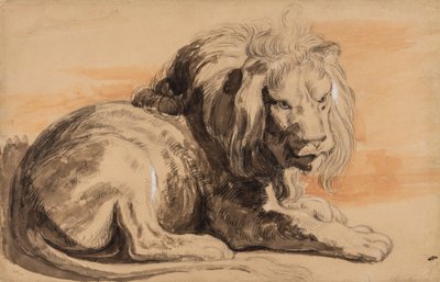 Le lion de Rubens, c.1840 - Miles Edmund Cotman