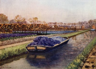 Un Bateau de Parfum - Mima Nixon