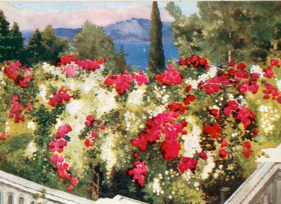 La Pergola des Roses, l