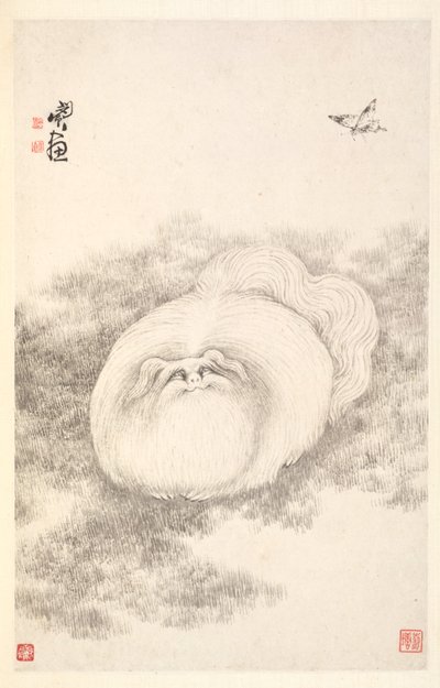 Chat et papillon - Min Zhen