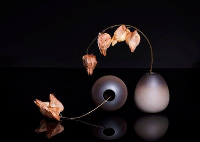  - Ming Chen