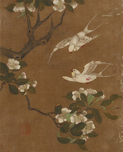 Dix images d