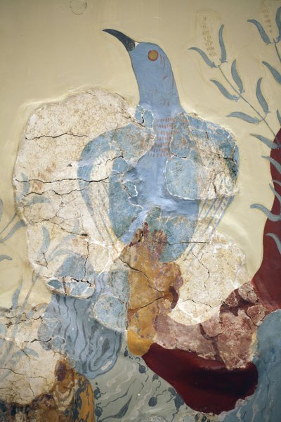 Art minoen. Détail de la fresque « Oiseau bleu » ou « L