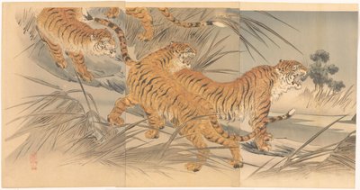 Tigres et soldats - Mishima Shôsô