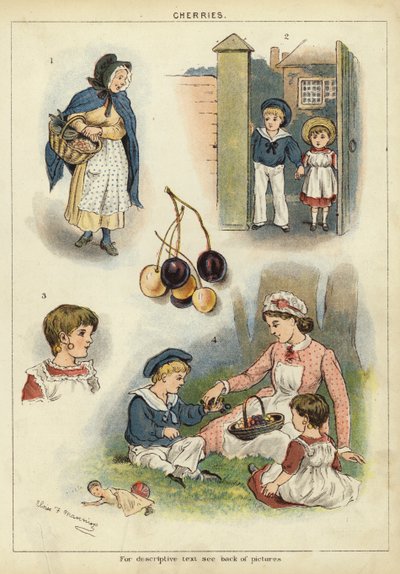 Cerises - Miss Eliza F. Manning