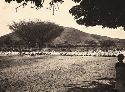Prière de Ramadan, 09/05/1936 - Modestino Baldinetti
