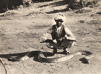 Indigène avec un python - Modestino Baldinetti