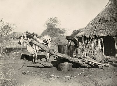 Construire un empire à l