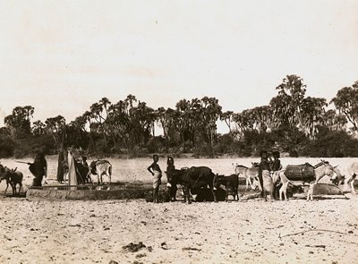 Puits à Gasc, 09/05/1936 - Modestino Baldinetti