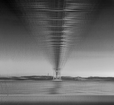  - Molly Fu APA