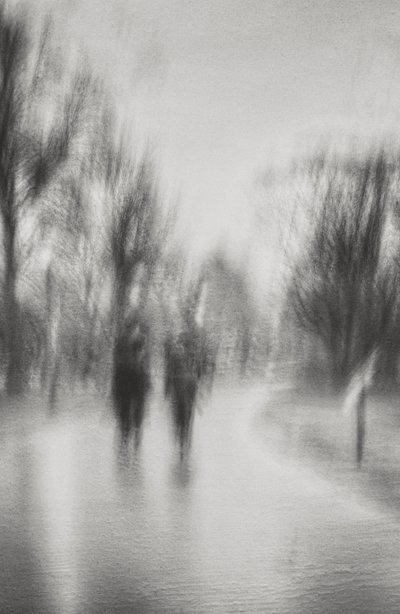 Une promenade onirique dans le parc - Molly Fu APA