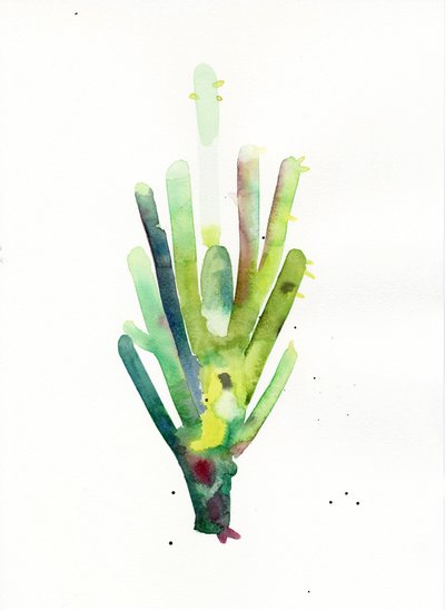 Cardon2 - Monica Perez Vega