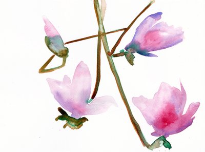 Magnolia 1, 2022 - Monica Perez Vega