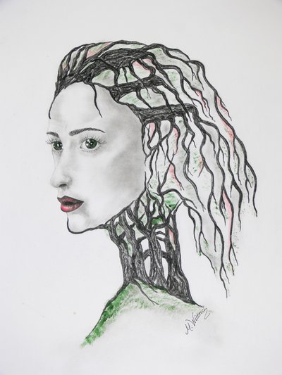Mort des arbres - Monika Wittrich