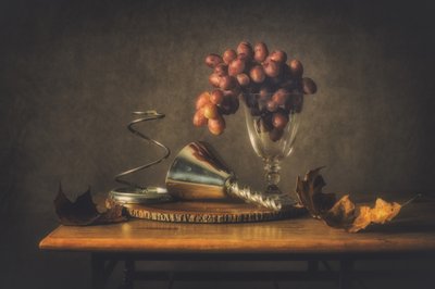  - Monique van Velzen