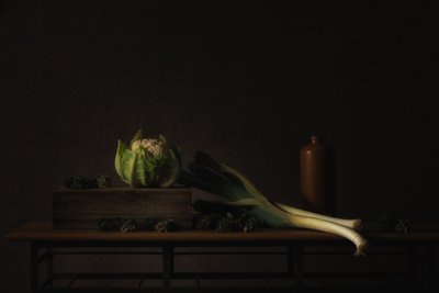  - Monique van Velzen
