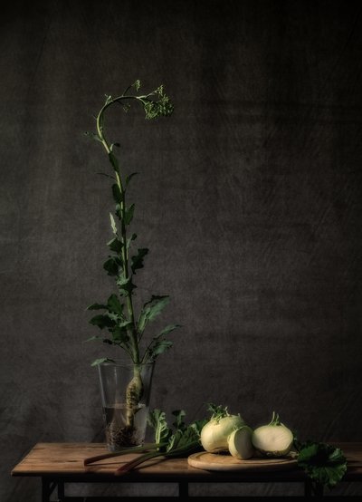  - Monique van Velzen