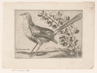 Oiseau - Monogrammist AG