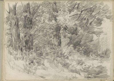 Paysage forestier - Monogrammist DS (tekenaar)