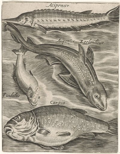 Feuille d