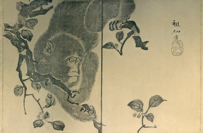 Singe, 1815, 1924 - Mori Sosen