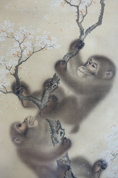 Singes dans un cerisier en fleurs, 1 sur 2, Mori Sosen, Japon, période Edo, début des années 1800, encre et couleur sur soie - Arthur M. Sackler Museum, Harvard University - DSC01127 - Mori Sosen